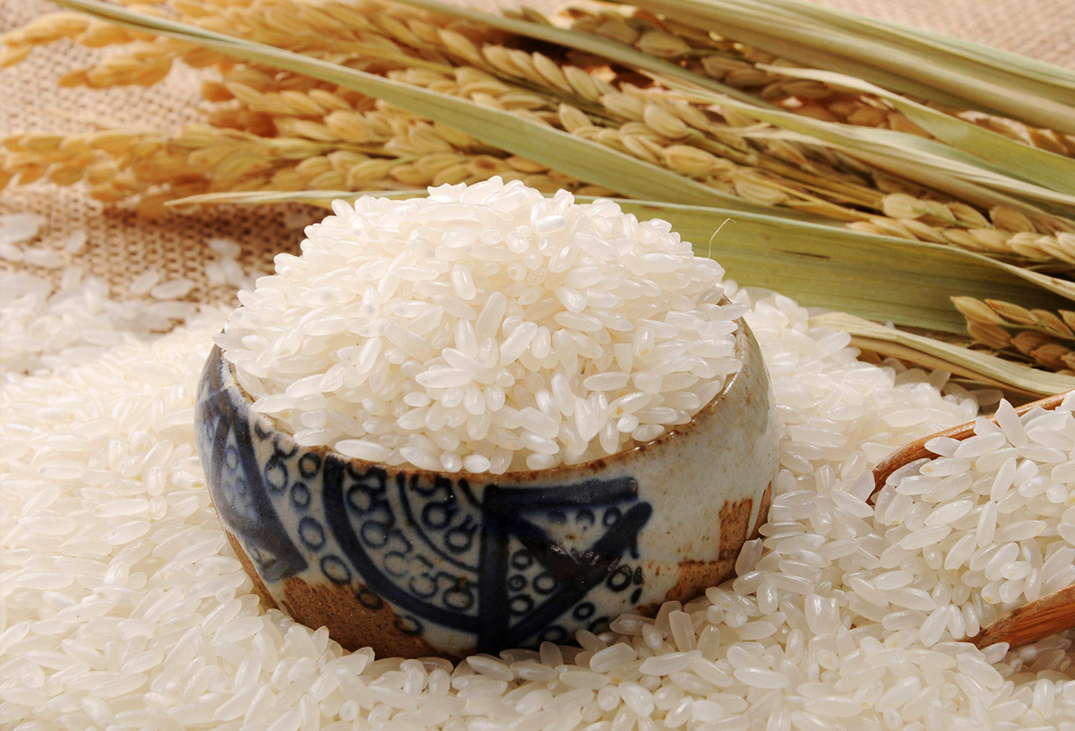 湖北天明粮油设备有限公司